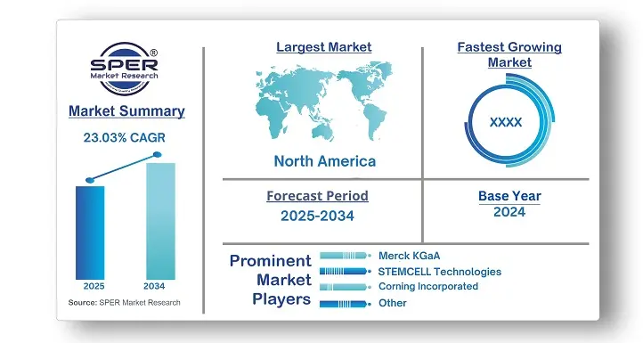 Human Organoids Market