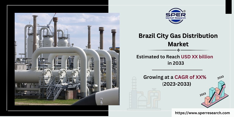 Brazil City Gas Distribution Market 