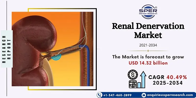 Renal Denervation Market