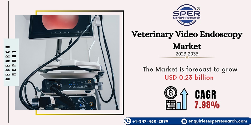 Veterinary Video Endoscopy Market