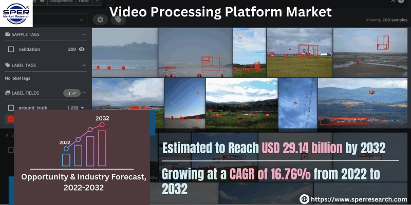 Video Processing Platform Market