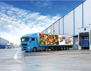 Japan Cold Chain Logistics Market Growth, Size, Trends, Demand, Revenue ...